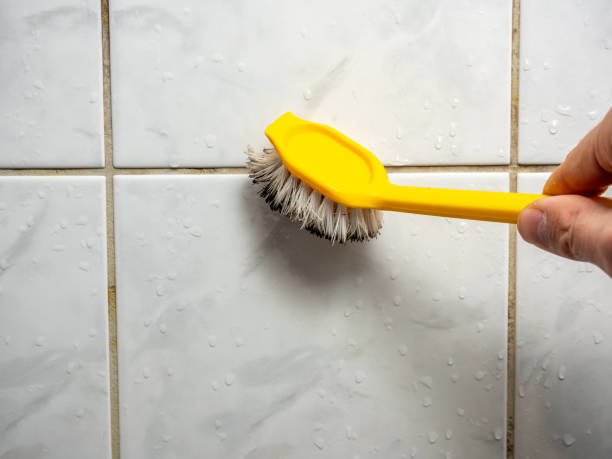 Best Mold Removal Near Me  in Friendly, MD