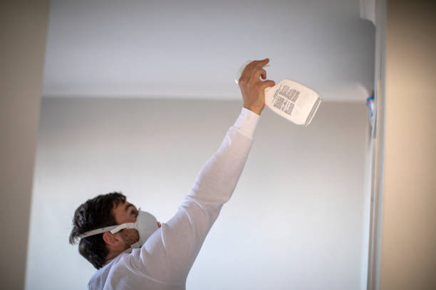 Crawl Space Mold Removal in Friendly, MD