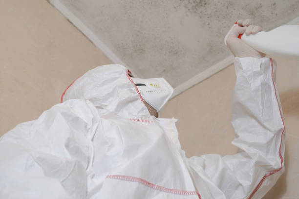 Crawl Space Mold Removal in Friendly, MD