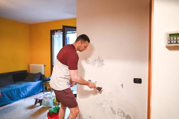 Attic Mold Removal in Friendly, MD