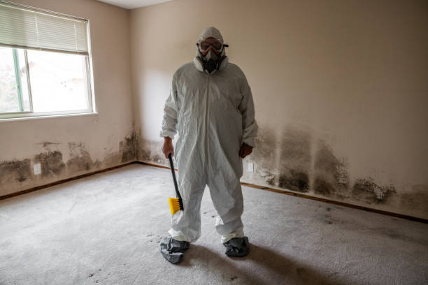 Best Mold Damage Repair  in Friendly, MD